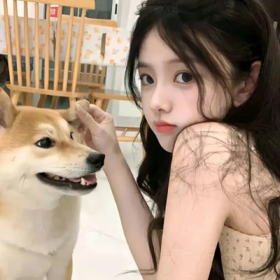 美发尸 在线观看